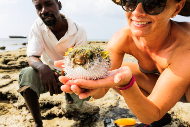 Marine & Watamu Pass